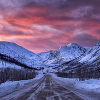 Buy canvas prints of The Road to Lofoten by Tracey Whitefoot