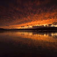 Buy canvas prints of A Mirrored Sunset  by Tracey Whitefoot
