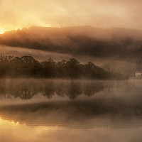 Buy canvas prints of Golden Mist  by Tracey Whitefoot