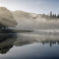 Buy canvas prints of Flying through the Mist  by Tracey Whitefoot