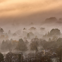 Buy canvas prints of Out of the Mist  by Tracey Whitefoot