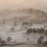 Buy canvas prints of Lost in the Mist  by Tracey Whitefoot