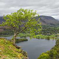 Buy canvas prints of Grasmere View by CHRIS BARNARD