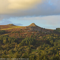 Buy canvas prints of Leather Tor View by CHRIS BARNARD