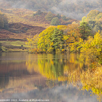 Buy canvas prints of Autumn Colours at Rydal Water by CHRIS BARNARD
