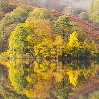 Buy canvas prints of Misty morning Rydal Water by CHRIS BARNARD