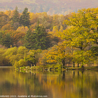 Buy canvas prints of Autumn at Rydal Water by CHRIS BARNARD