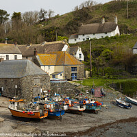 Buy canvas prints of The small harbour at Cadgwith Cove on the Lizard Coast of Cornwall by CHRIS BARNARD