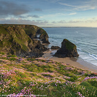 Buy canvas prints of Spring At Bedruthan by CHRIS BARNARD