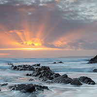 Buy canvas prints of Sunset over Sharrow Point Cornwall by CHRIS BARNARD
