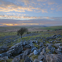 Buy canvas prints of Sunset on Bodmin Moor by CHRIS BARNARD