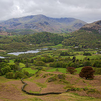 Buy canvas prints of Elterwater View by CHRIS BARNARD