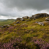 Buy canvas prints of Brown Willy Bodmin Moor by CHRIS BARNARD