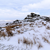 Buy canvas prints of Winter Bodmin Moor by CHRIS BARNARD