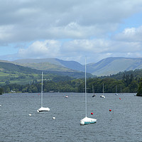 Buy canvas prints of Windermere View by CHRIS BARNARD