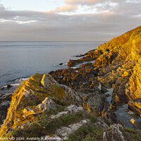 Buy canvas prints of Early morning light on the coast at Polperro Cornwall by CHRIS BARNARD