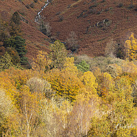 Buy canvas prints of Autumn Colours Lake District by CHRIS BARNARD