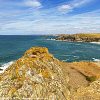 Buy canvas prints of West Pentire View by CHRIS BARNARD