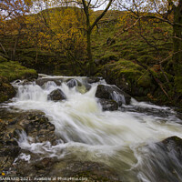 Buy canvas prints of Hayeswater Gill by CHRIS BARNARD
