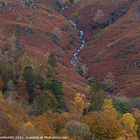 Buy canvas prints of Forever Autumn by CHRIS BARNARD