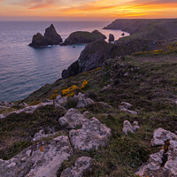 Buy canvas prints of Kynance Cove Sunset by CHRIS BARNARD