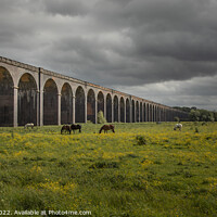 Buy canvas prints of Welland Viaduct by Pete Lawless