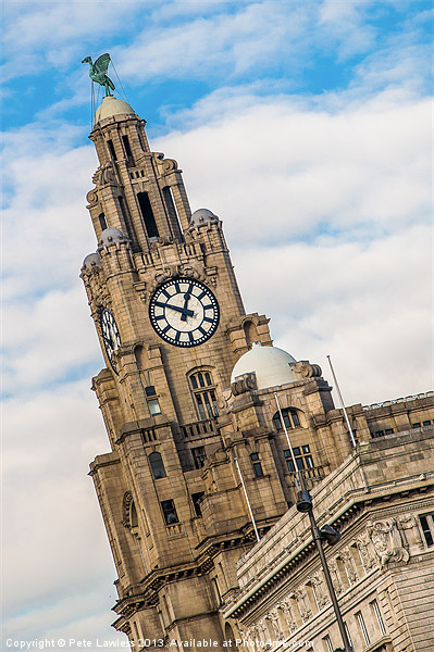 The Liver Bird Picture Board by Pete Lawless