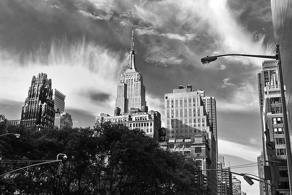 New York  - Empire State Building Picture Board by Pete Lawless