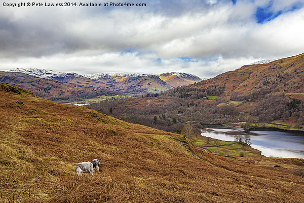 Rydal Cumbria Picture Board by Pete Lawless