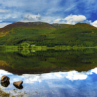 Buy canvas prints of Dodd Wood Reflections by Pete Lawless