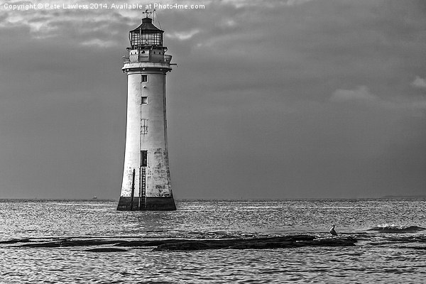 Perch Rock lighthouse  Picture Board by Pete Lawless