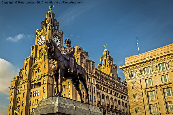  Liver Building Picture Board by Pete Lawless