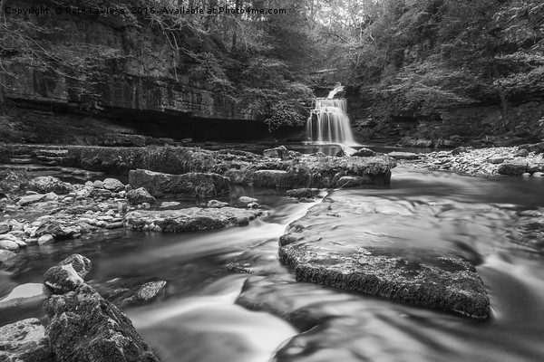 West Burton Waterfall Yorkshire Dales Picture Board by Pete Lawless