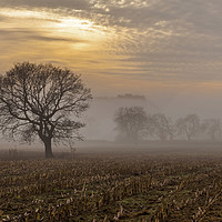 Buy canvas prints of Beeston Castle in the mist   by Pete Lawless