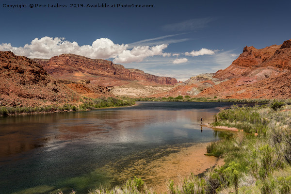 Colorado River, Glen Canyon. Picture Board by Pete Lawless