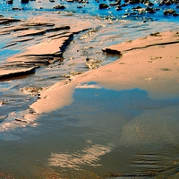 Buy canvas prints of Beach Water Charmouth Dorset by Liz Shewan