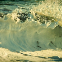 Buy canvas prints of  Waves of Charmouth by Liz Shewan