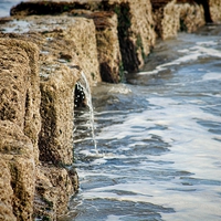 Buy canvas prints of  Sea Wall by Liz Shewan