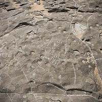 Buy canvas prints of Abstract Rock Patterns and Shapes | Charmouth, Dor by Liz Shewan