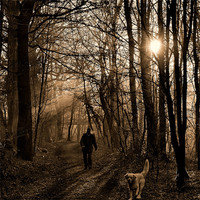 Buy canvas prints of Walking the dog 2 by Mark  F Banks