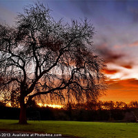 Buy canvas prints of Sunrise on our field by Mark  F Banks