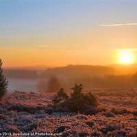 Buy canvas prints of Sunrise over Broxhead Common by Mark  F Banks