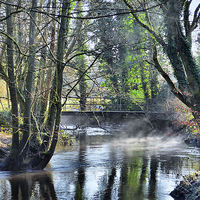 Buy canvas prints of Looking Down the River Wey by Mark  F Banks
