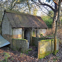 Buy canvas prints of Deserted Shed by Mark  F Banks