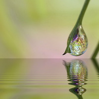 Buy canvas prints of  Dew Drop on Grass Stem by Mark  F Banks