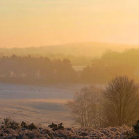 Buy canvas prints of  Frosty Dawn by Mark  F Banks