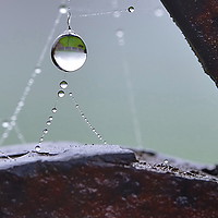 Buy canvas prints of Hanging Dewdrop  by Mark  F Banks