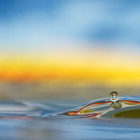 Buy canvas prints of Water Droplet by Mark  F Banks