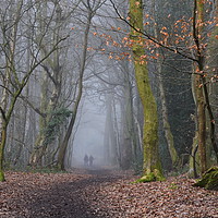 Buy canvas prints of Woods with a forgotten past by Mark  F Banks