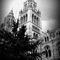 Buy canvas prints of natural history museum by trudi green